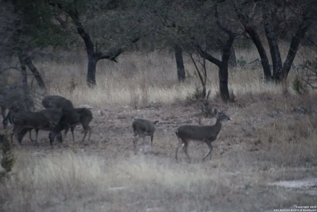 $999,900 | 1839 Thanksgiving Road, Utopia, TX 78884