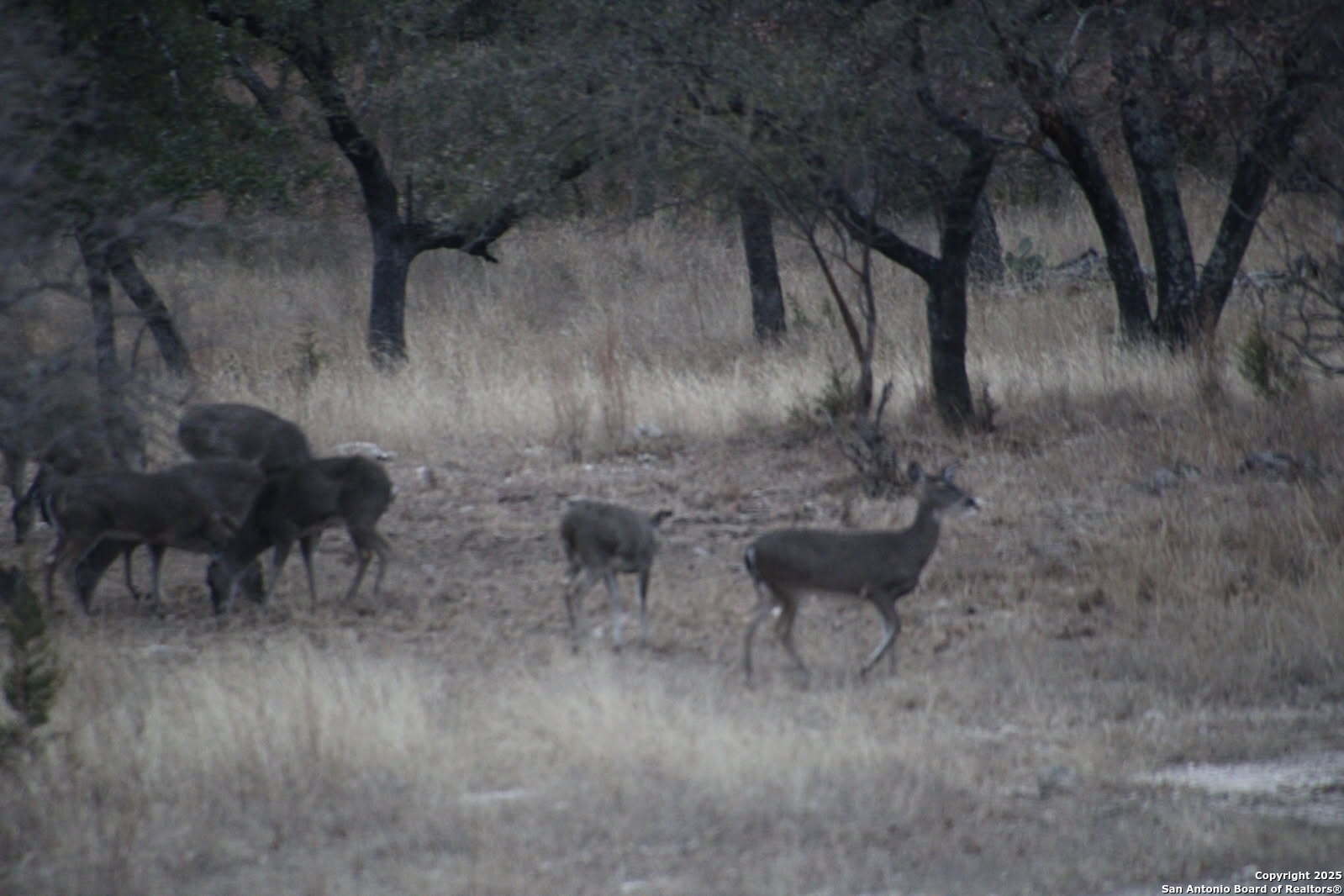 1839 Thanksgiving Road Utopia, TX 78884 - Photo 80 of 96 a view of a yard with an outdoor seating