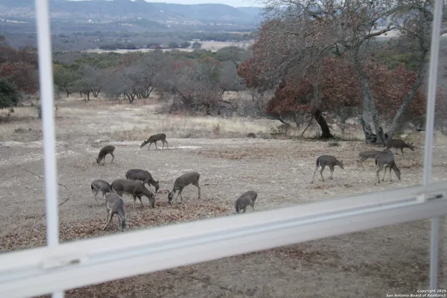 $999,900 | 1839 Thanksgiving Road, Utopia, TX 78884