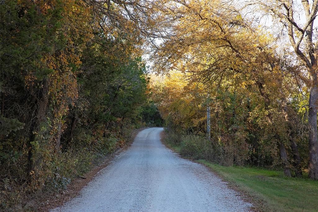 9051 Lacy Road Graford, TX 76449 - Photo 2 of 23 a view of a forest with trees