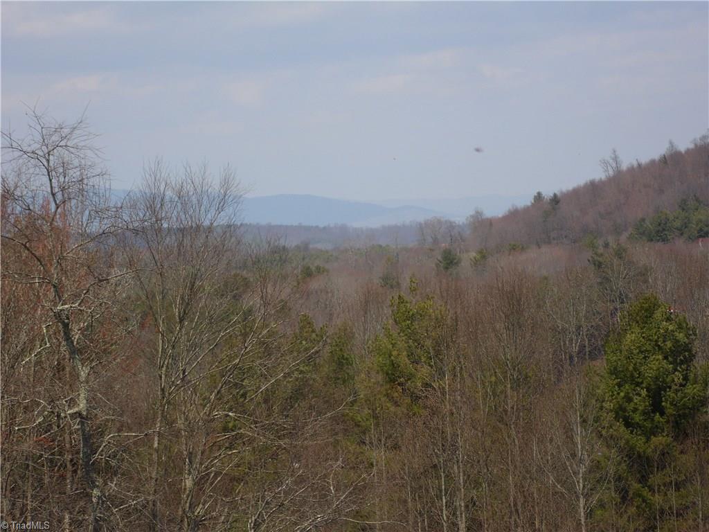 10004 Glade Valley Road Ennice, NC 28623 - Photo 3 of 30