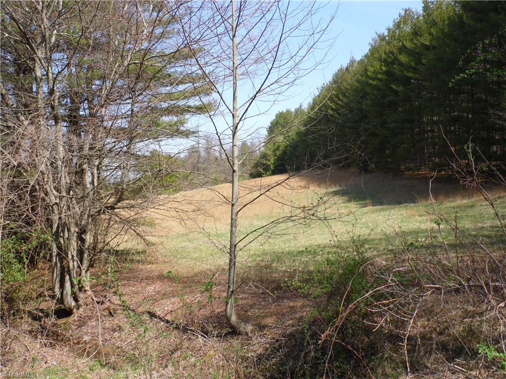 10004 Glade Valley Road Ennice, NC 28623 - Photo 25 of 30
