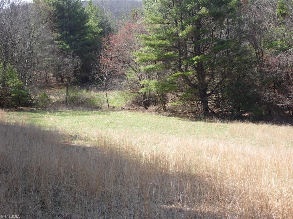 10004 Glade Valley Road Ennice, NC 28623 - Photo 26 of 30