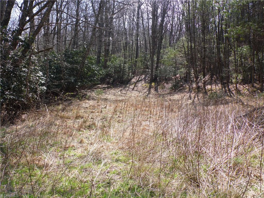 10004 Glade Valley Road Ennice, NC 28623 - Photo 30 of 30