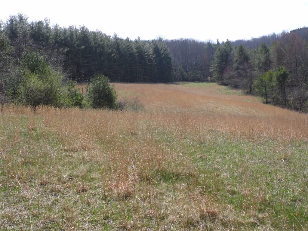 10004 Glade Valley Road Ennice, NC 28623 - Photo 6 of 30