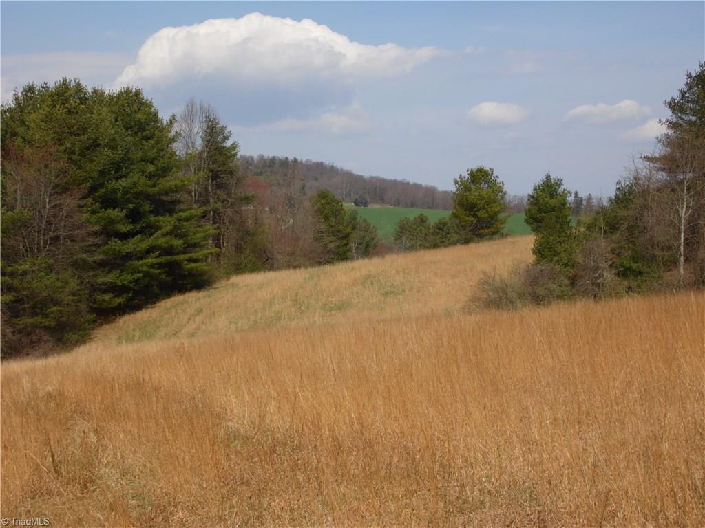 10004 Glade Valley Road Ennice, NC 28623 - Photo 7 of 30