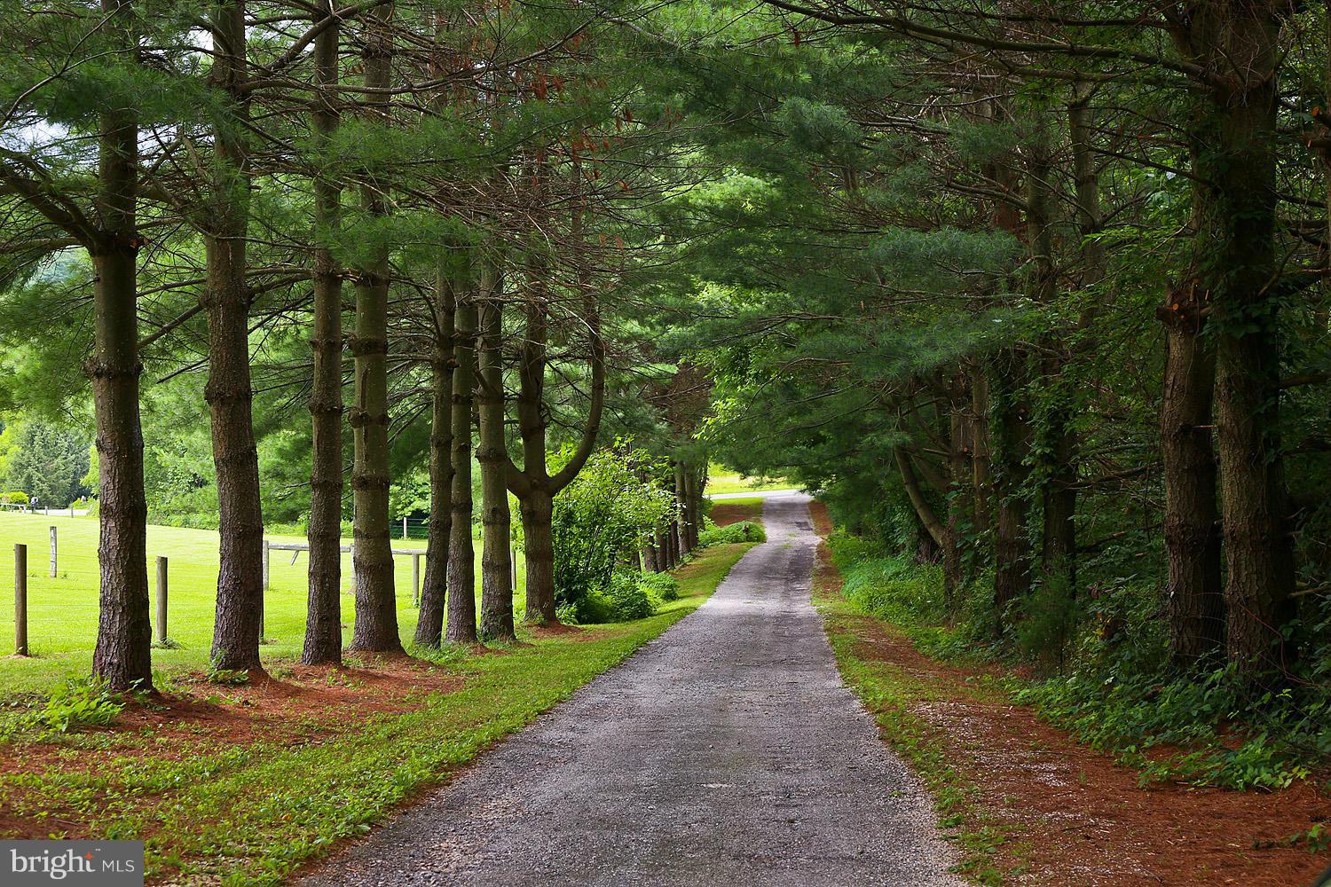 413 Leppo Road Westminster, MD 21158 - Photo 2 of 30 Tree Lined Driveway