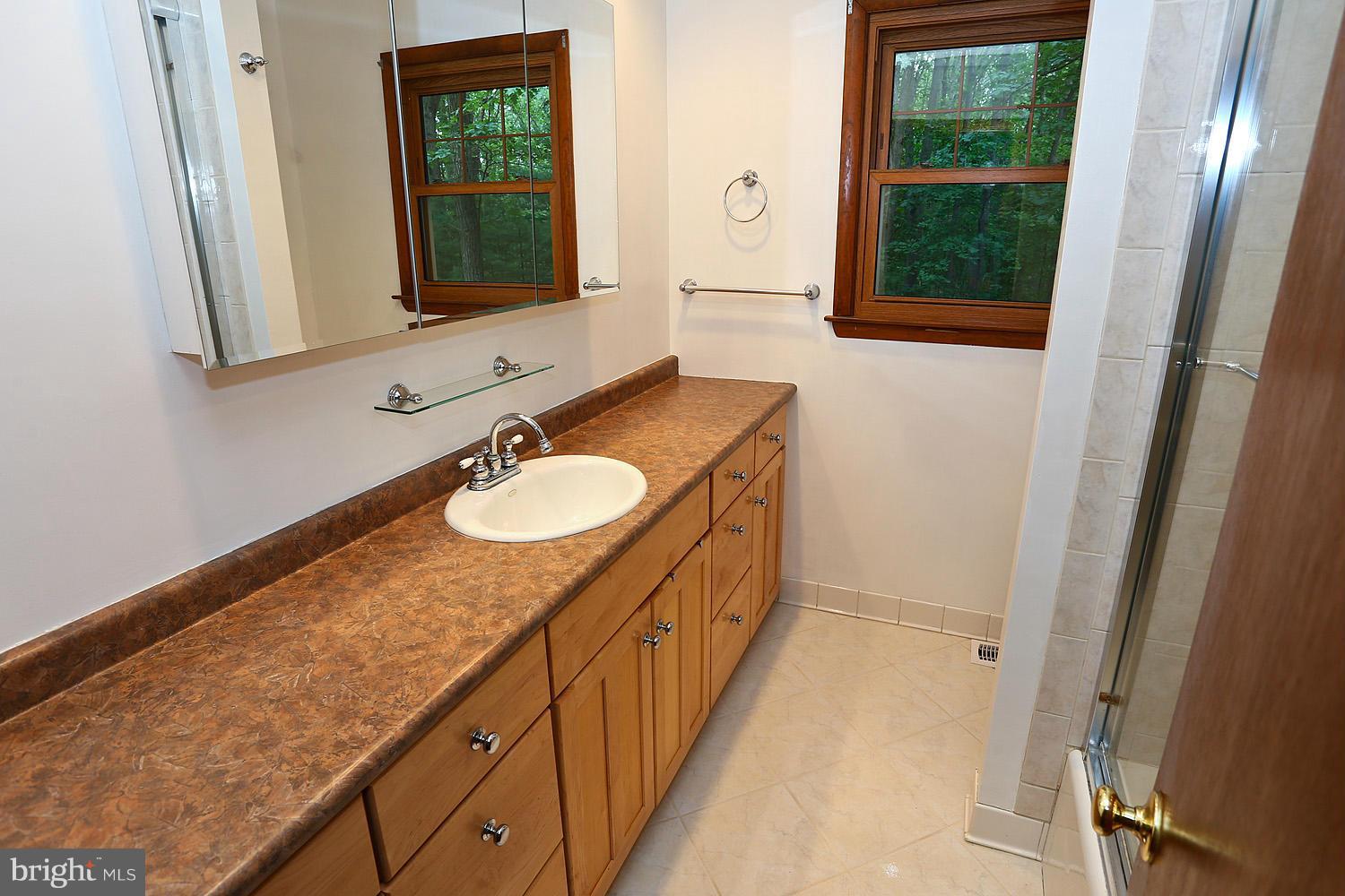 413 Leppo Road Westminster, MD 21158 - Photo 24 of 30 Hall Bath Detail