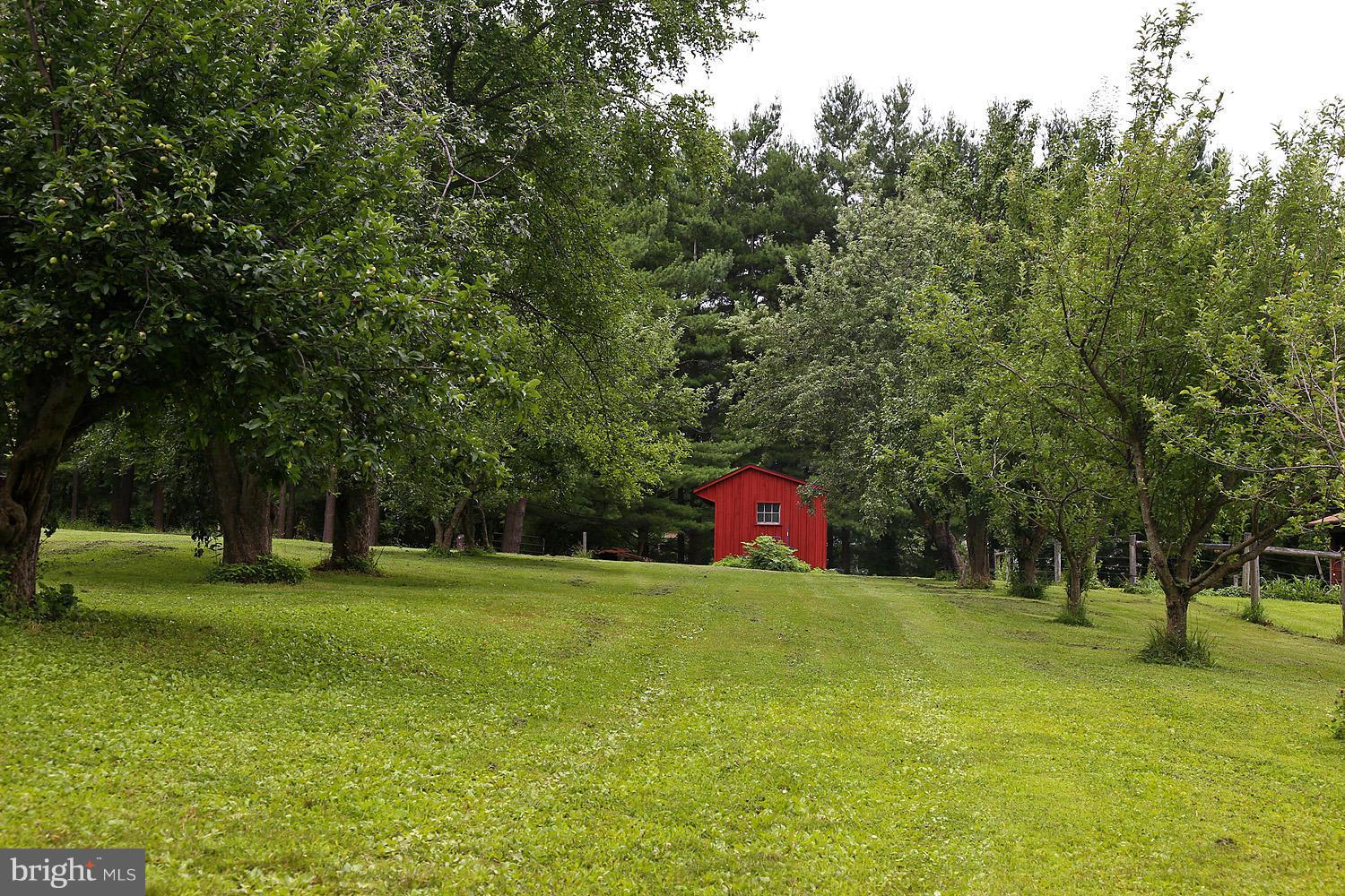 413 Leppo Road Westminster, MD 21158 - Photo 29 of 30 Apple and Pear Orchard