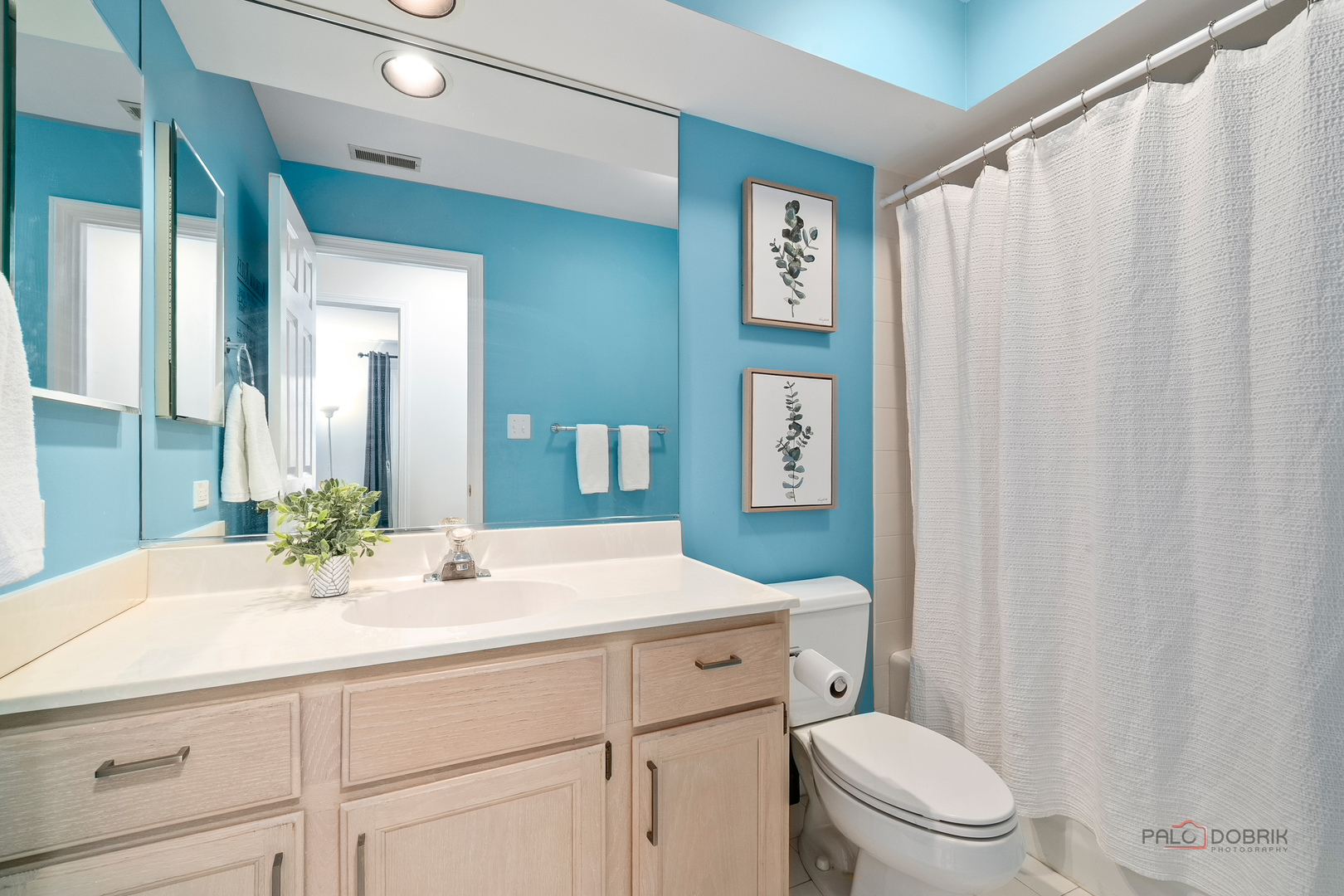 970 Ivy Lane, Unit C Deerfield, IL 60015 - Photo 32 of 36 a bathroom with a sink a toilet and shower curtain