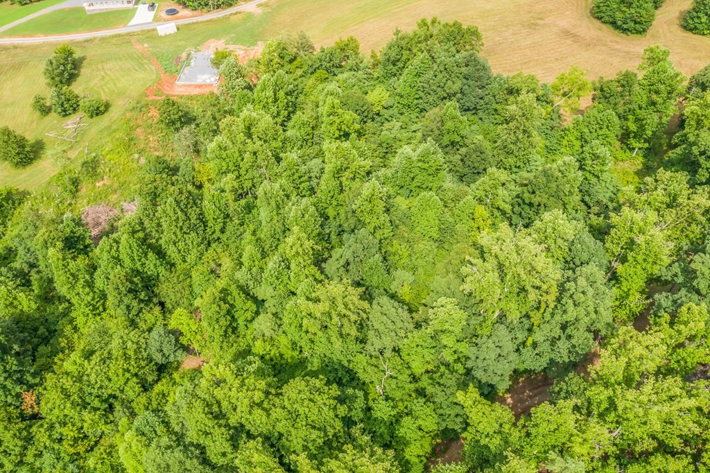 0 Heidi June Way Newport, TN 37821 - Photo 17 of 30
