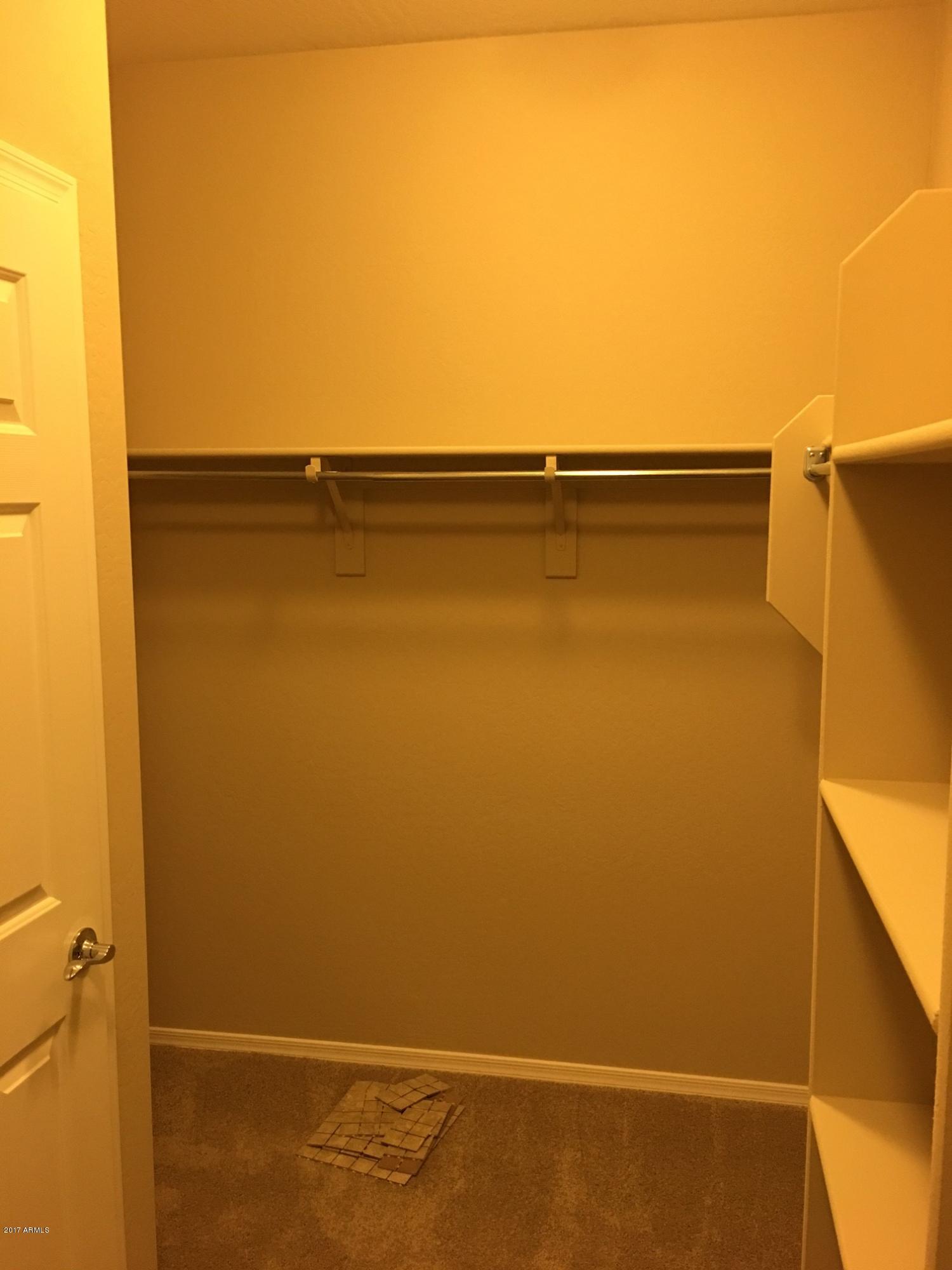 17848 West Red Bird Road Surprise, AZ 85387 - Photo 17 of 26 Master Closet