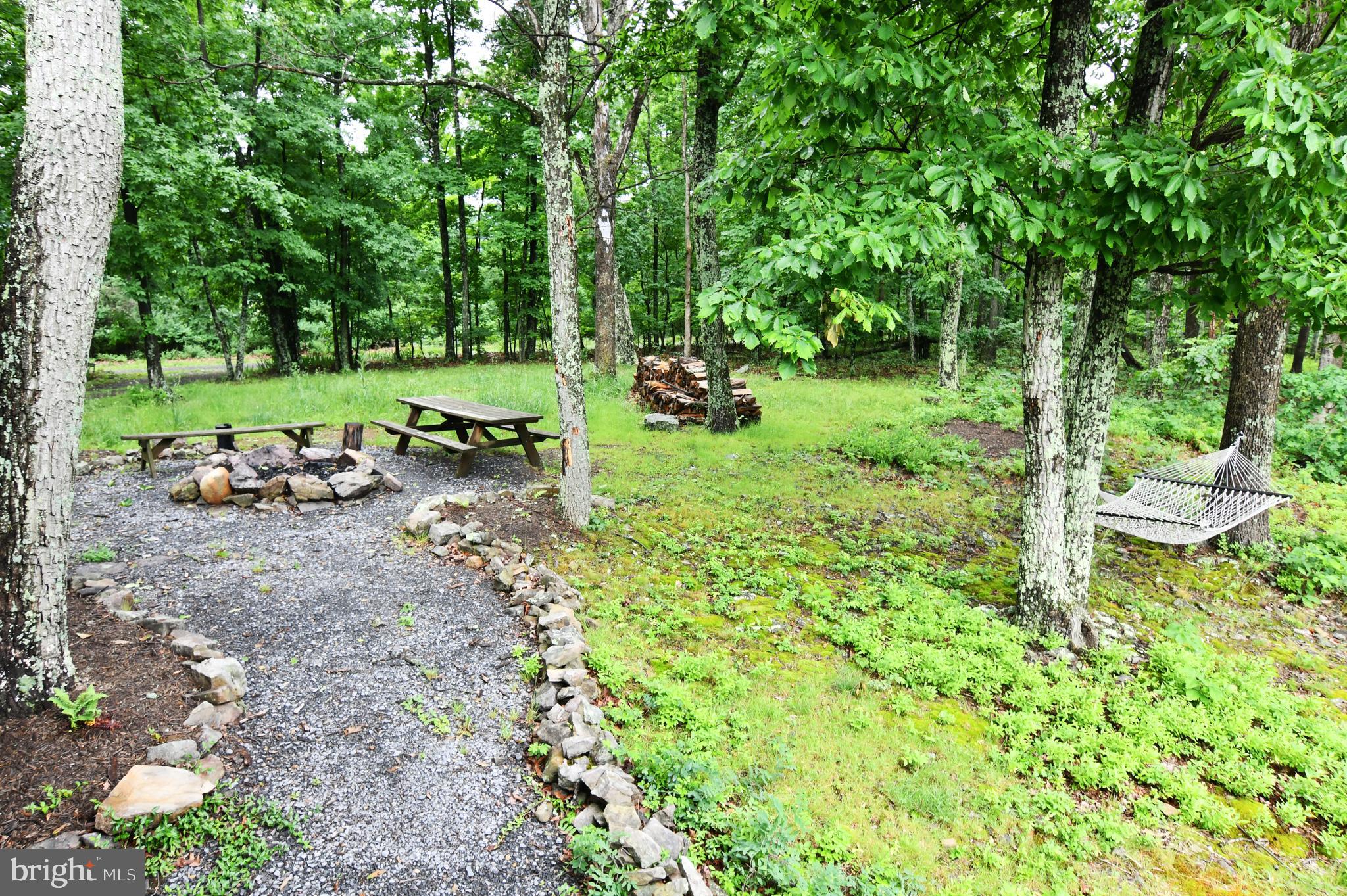 513 Cardinal Drive Rio, WV 26755 - Photo 51 of 55 More of front yard