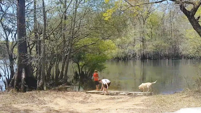 $40,000 | Lot 7 Black Island Road, Galivants Ferry, SC 29544