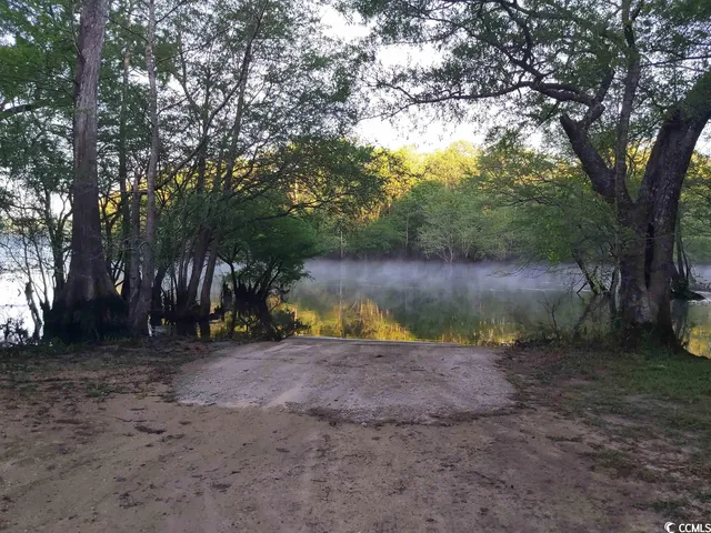 $40,000 | Lot 7 Black Island Road, Galivants Ferry, SC 29544