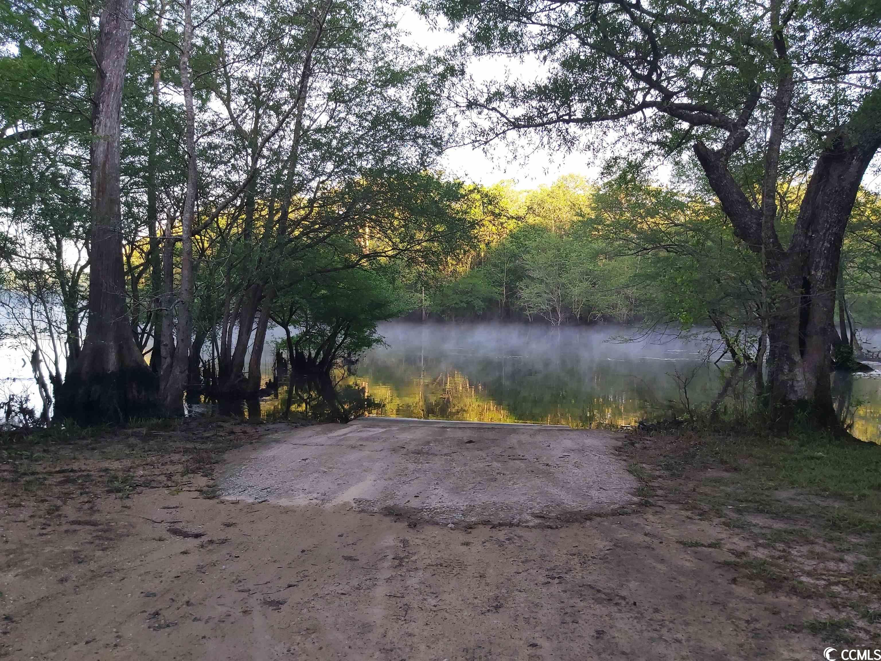 Lot 7 Black Island Road Galivants Ferry, SC 29544 - Photo 3 of 7