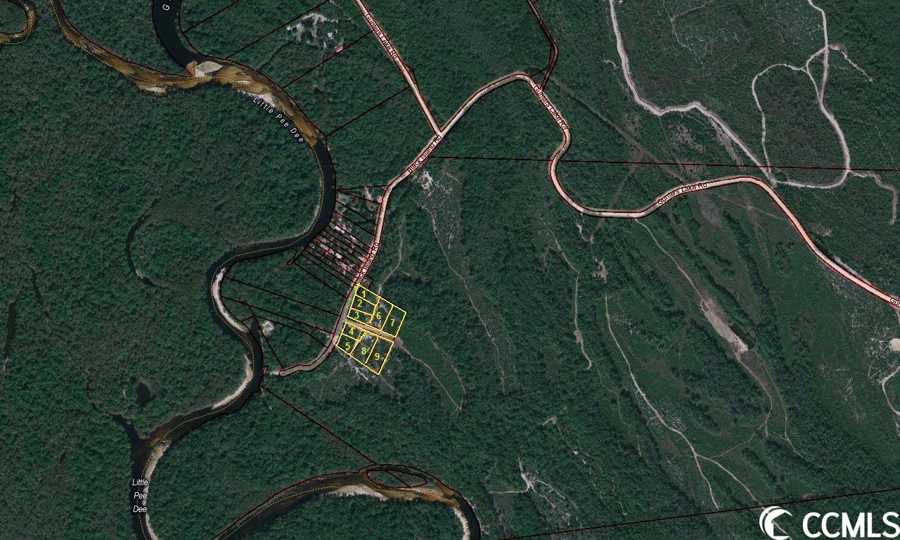 Lot 7 Black Island Road Galivants Ferry, SC 29544 - Photo 6 of 7