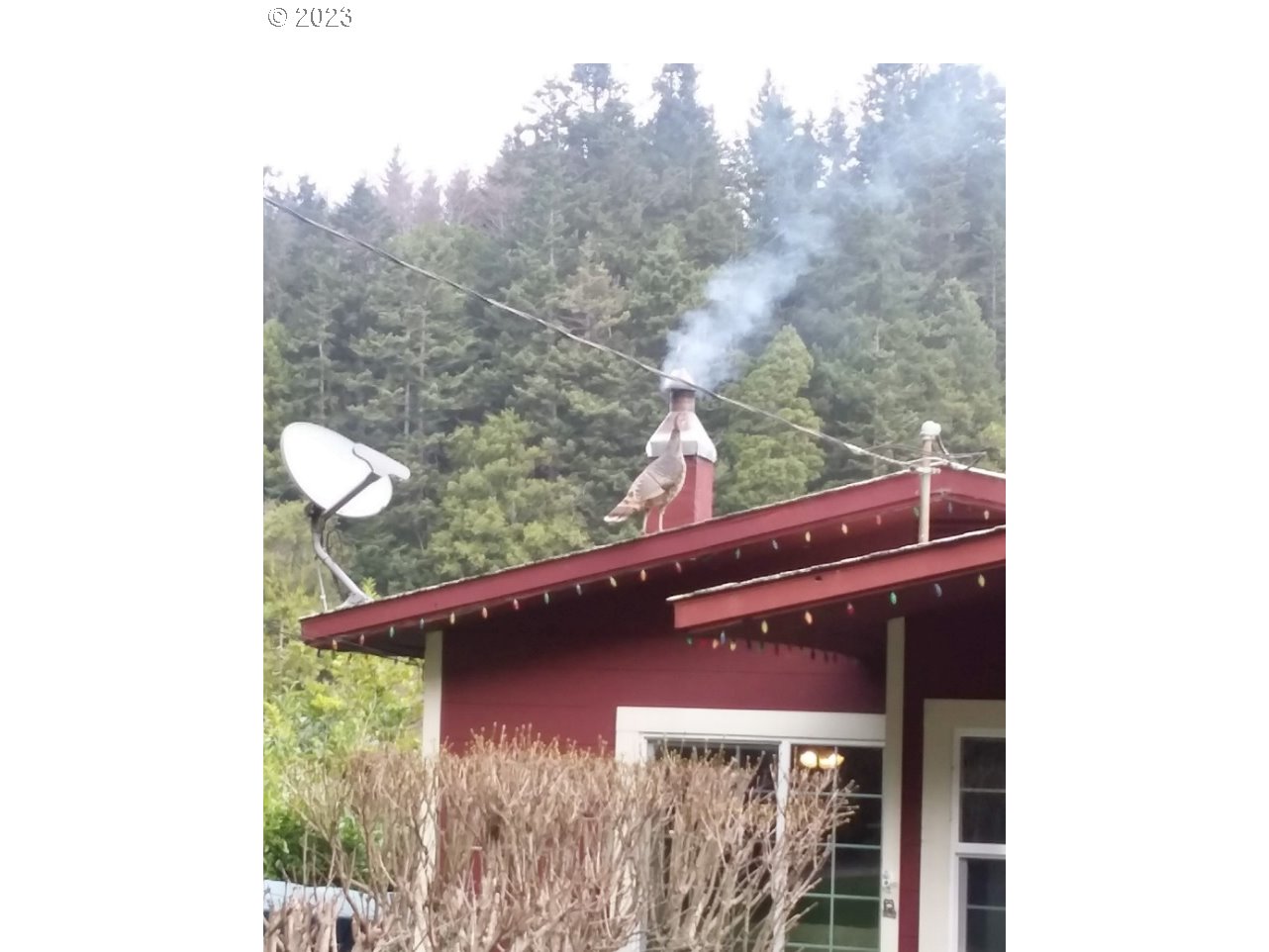 94381 Quarry Road Gold Beach, OR 97444 - Photo 31 of 44 Gallery Image 31