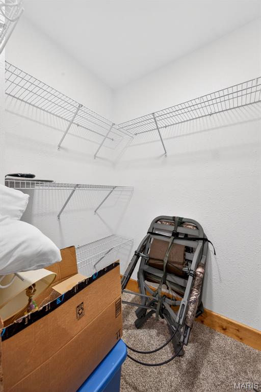 1219 Godt Road Wright City, MO 63390 - Photo 45 of 54