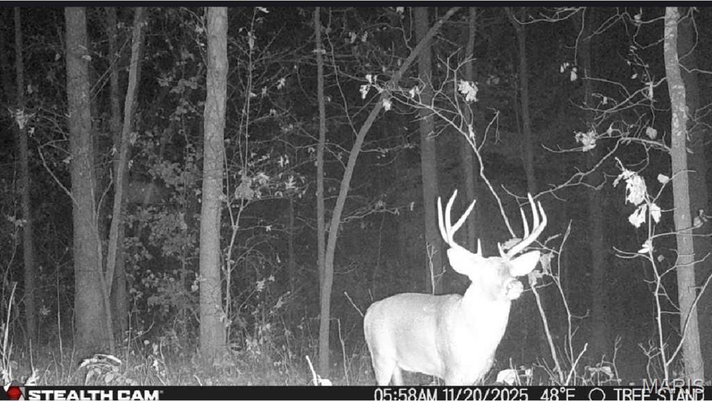 1219 Godt Road Wright City, MO 63390 - Photo 8 of 54