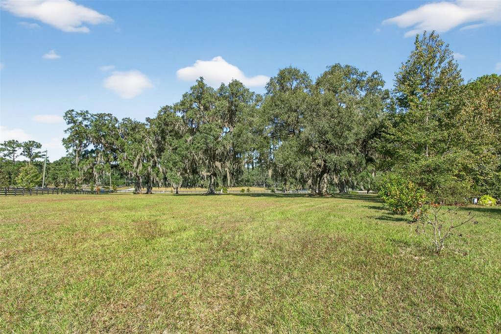 12903 112th Avenue Alachua, FL 32615 - Photo 77 of 95