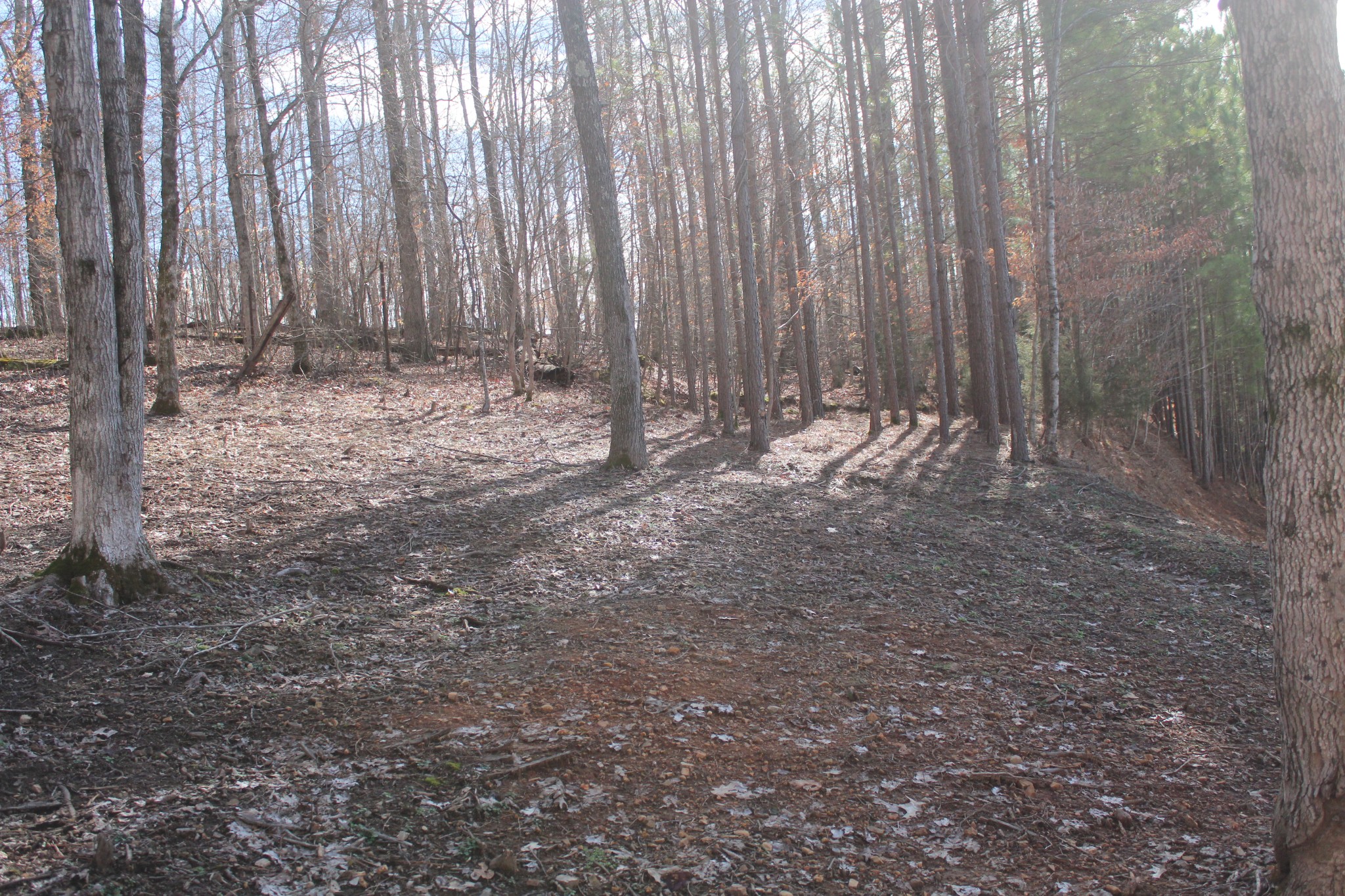 462 Defeated Creek Road Centerville, TN 37033 - Photo 34 of 40 Gallery Image 34