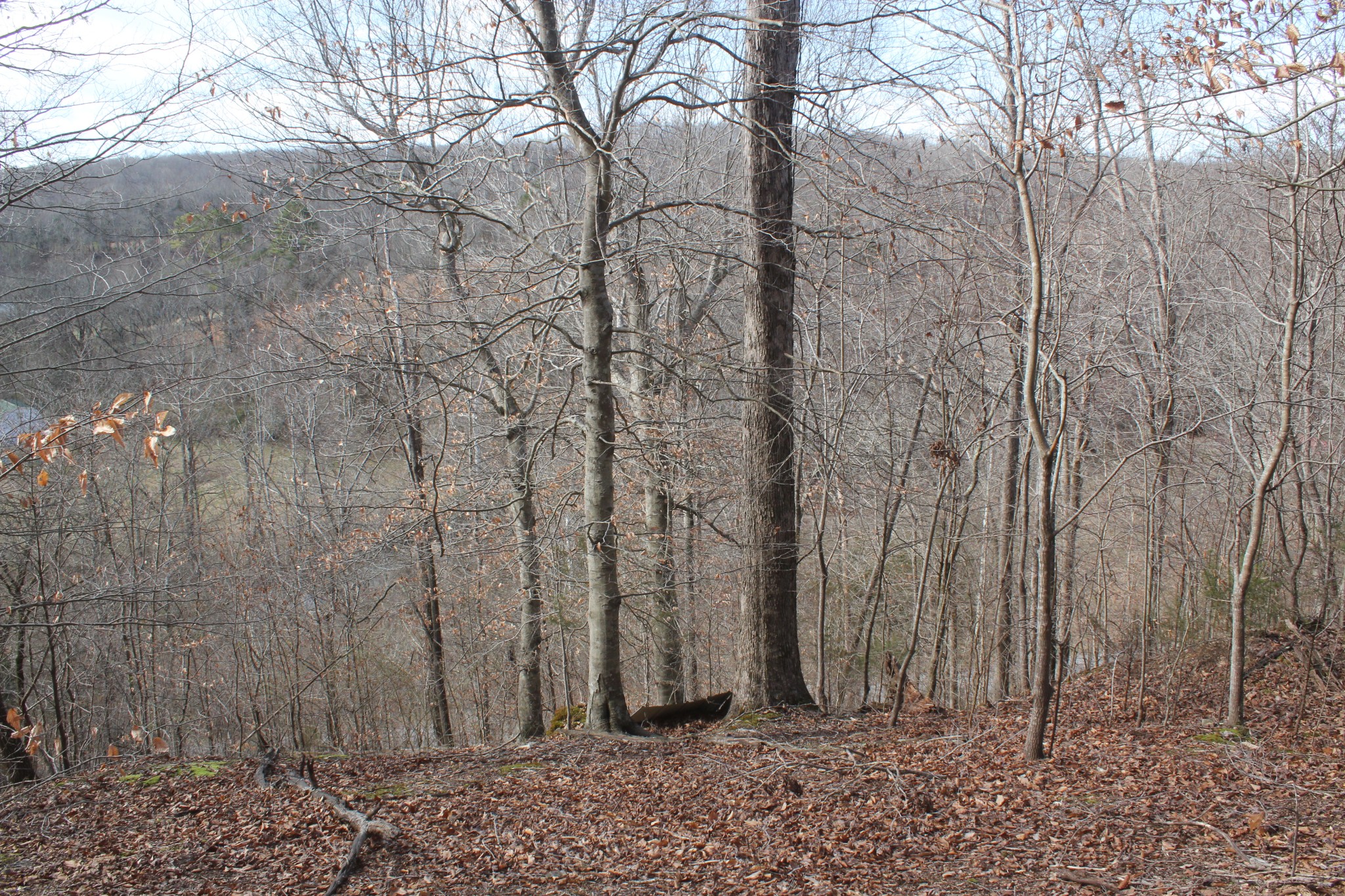 462 Defeated Creek Road Centerville, TN 37033 - Photo 35 of 40 Gallery Image 35