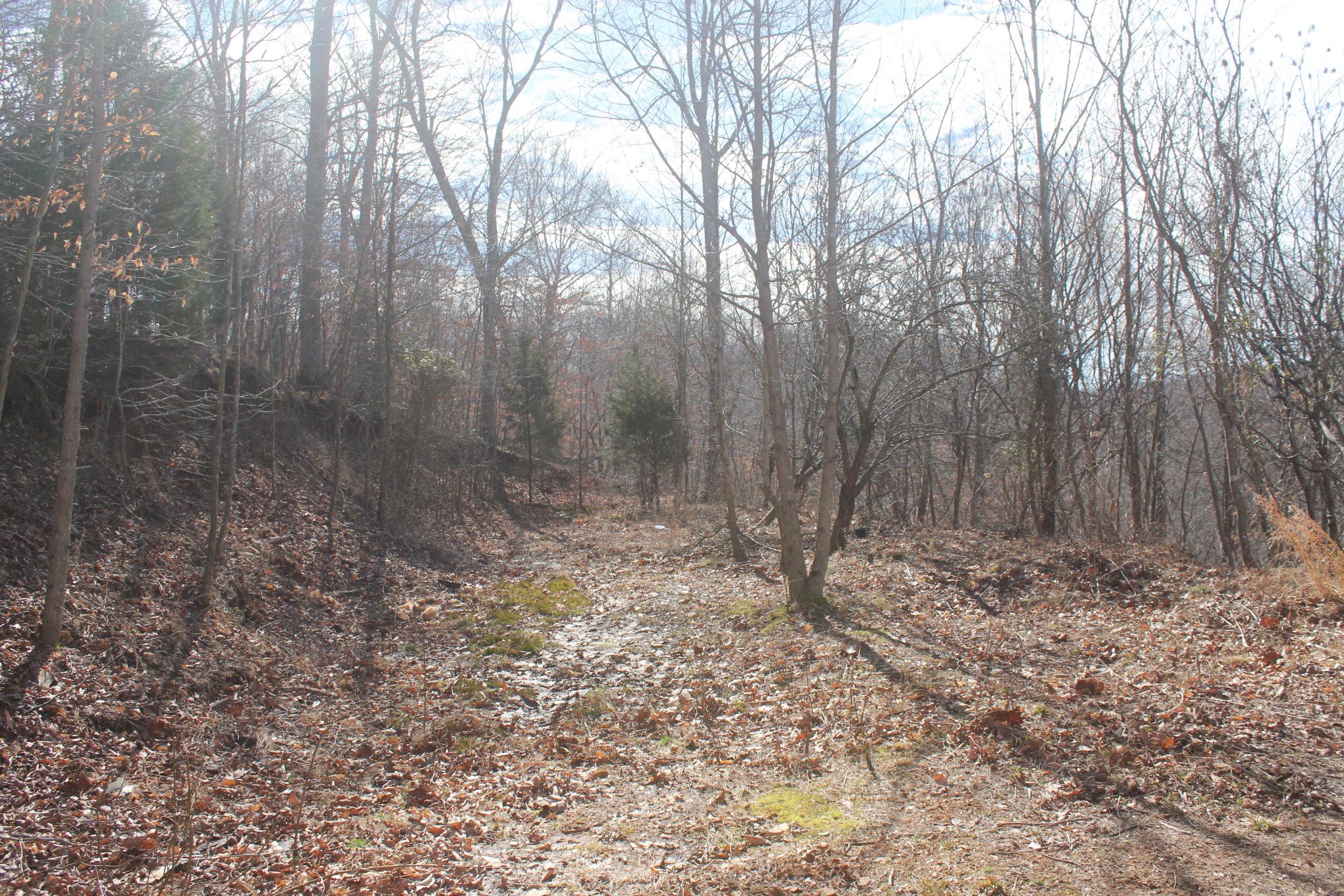 462 Defeated Creek Road Centerville, TN 37033 - Photo 36 of 40 Gallery Image 36