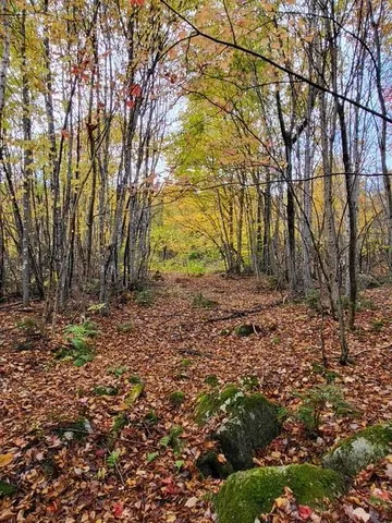 $38,000 | Lot 6 Morrison Brook, Unit ACRES, Oakfield, ME 04763