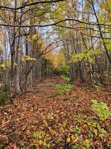 $38,000 | Lot 6 Morrison Brook, Unit ACRES, Oakfield, ME 04763