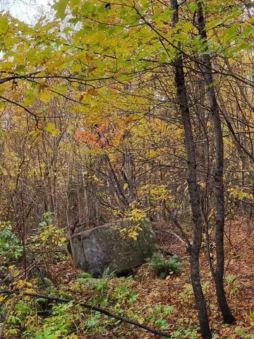 $38,000 | Lot 6 Morrison Brook, Unit ACRES, Oakfield, ME 04763