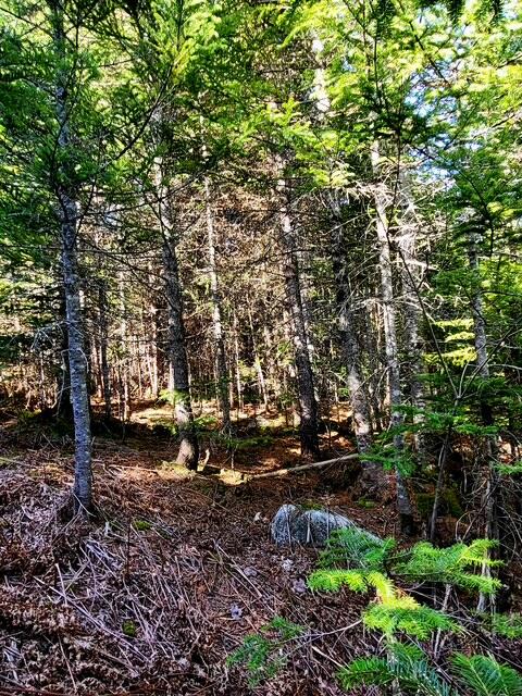 Lot 6 Morrison Brook, Unit ACRES Oakfield, ME 04763 - Photo 16 of 25 1092722879742346899