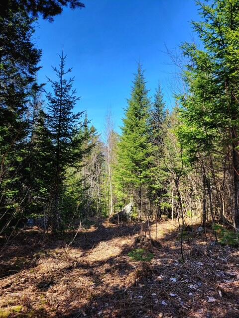 Lot 6 Morrison Brook, Unit ACRES Oakfield, ME 04763 - Photo 17 of 25 2792433471613413490