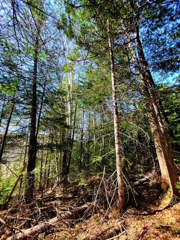 $38,000 | Lot 6 Morrison Brook, Unit ACRES, Oakfield, ME 04763