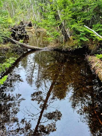 $38,000 | Lot 6 Morrison Brook, Unit ACRES, Oakfield, ME 04763