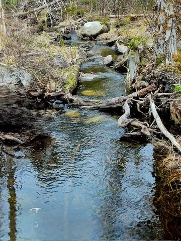 $38,000 | Lot 6 Morrison Brook, Unit ACRES, Oakfield, ME 04763