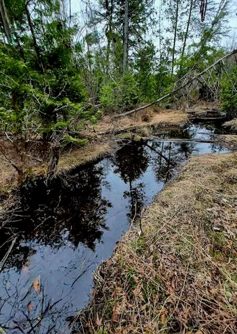 $38,000 | Lot 6 Morrison Brook, Unit ACRES, Oakfield, ME 04763