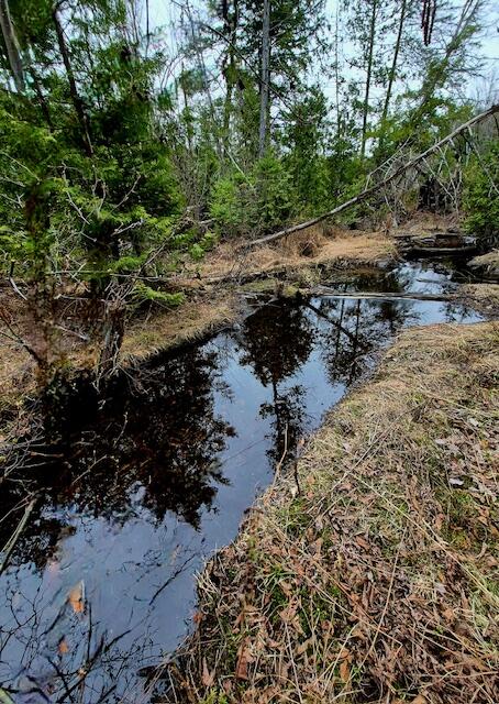 Lot 6 Morrison Brook, Unit ACRES Oakfield, ME 04763 - Photo 3 of 25 7706820538045445042