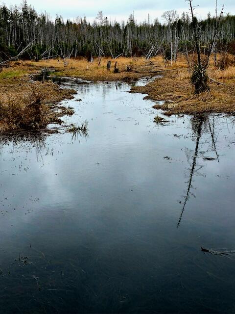 Lot 6 Morrison Brook, Unit ACRES Oakfield, ME 04763 - Photo 4 of 25 3400517036802698642