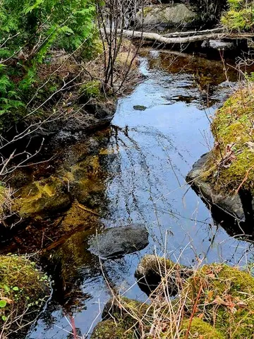 $38,000 | Lot 6 Morrison Brook, Unit ACRES, Oakfield, ME 04763