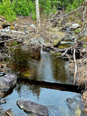 $38,000 | Lot 6 Morrison Brook, Unit ACRES, Oakfield, ME 04763