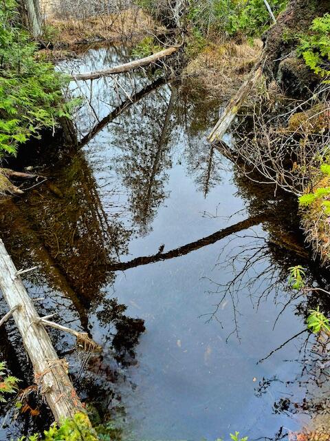 Lot 6 Morrison Brook, Unit ACRES Oakfield, ME 04763 - Photo 7 of 25 2538271569997940682