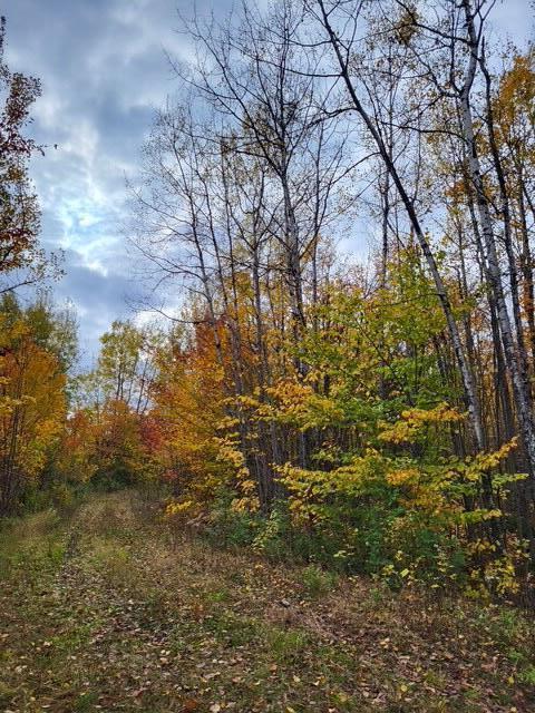 Lot 6 Morrison Brook, Unit ACRES Oakfield, ME 04763 - Photo 9 of 25 270782233316540100