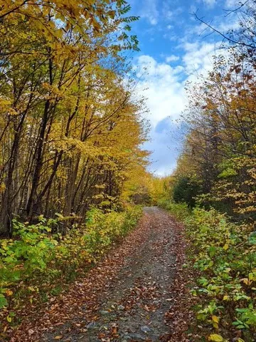 $38,000 | Lot 6 Morrison Brook, Unit ACRES, Oakfield, ME 04763