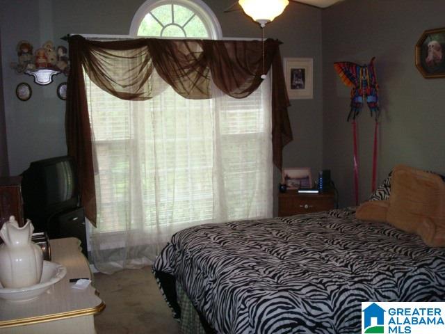 3701 Taylors Mill Road Talladega, AL 35160 - Photo 8 of 37