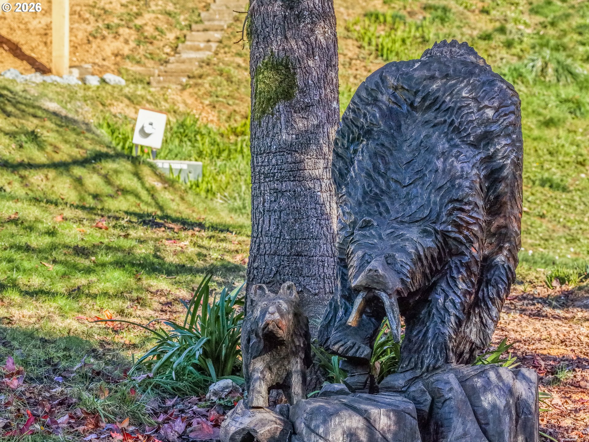 94263 Matheny Creek Road Myrtle Point, OR 97458 - Photo 11 of 39