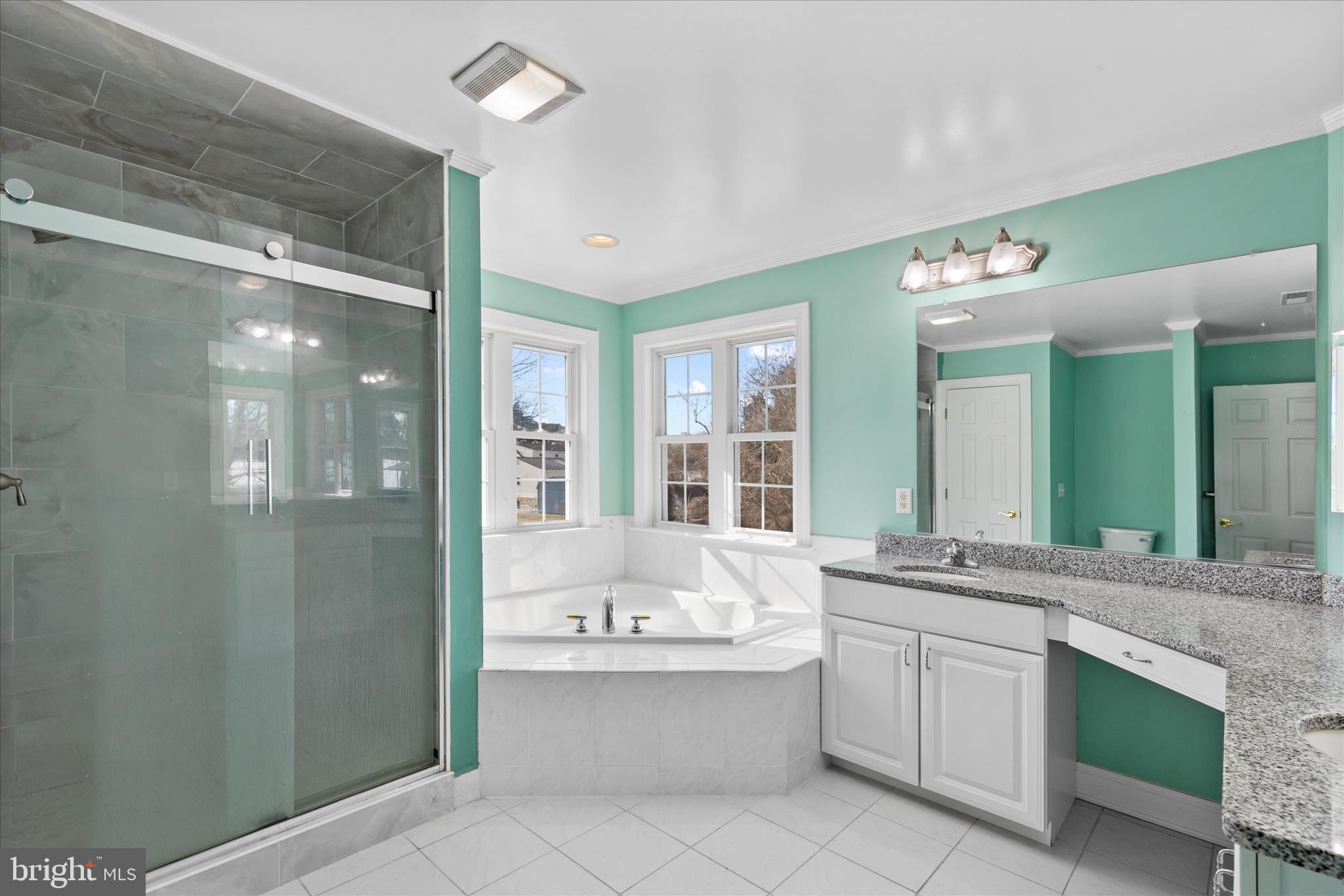 108 Franklin Avenue Berlin, MD 21811 - Photo 45 of 62 a bathroom with a granite countertop sink mirror and bathtub
