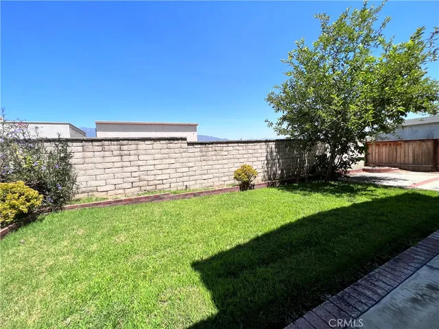 a view of a backyard with plants and a garden