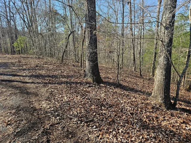 a view of a backyard of the house