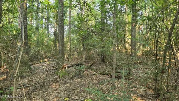 $49,000 | 0 Alabama Street, Roxie, MS 39661